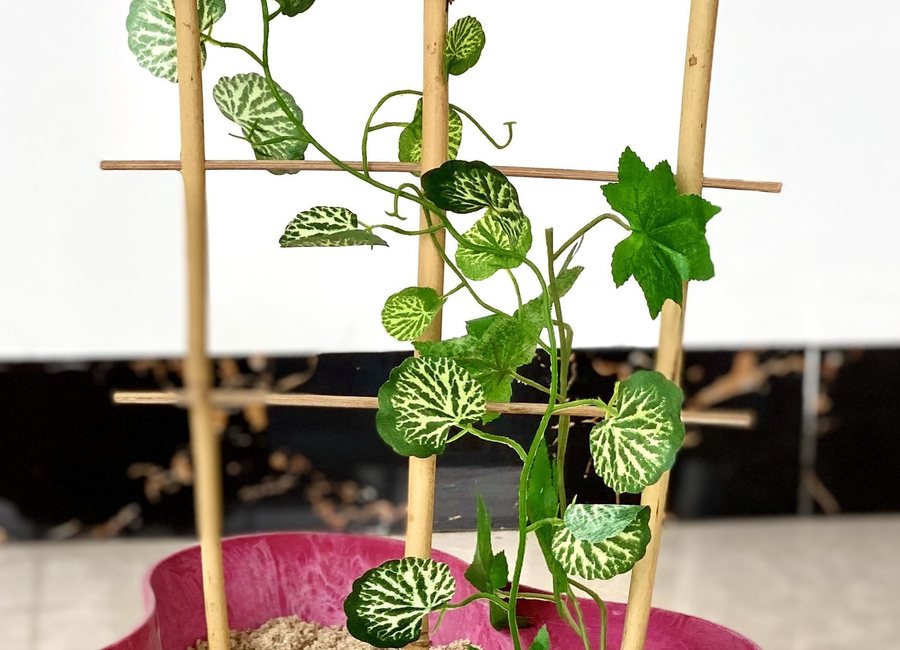 Bamboo Ladder Trellis